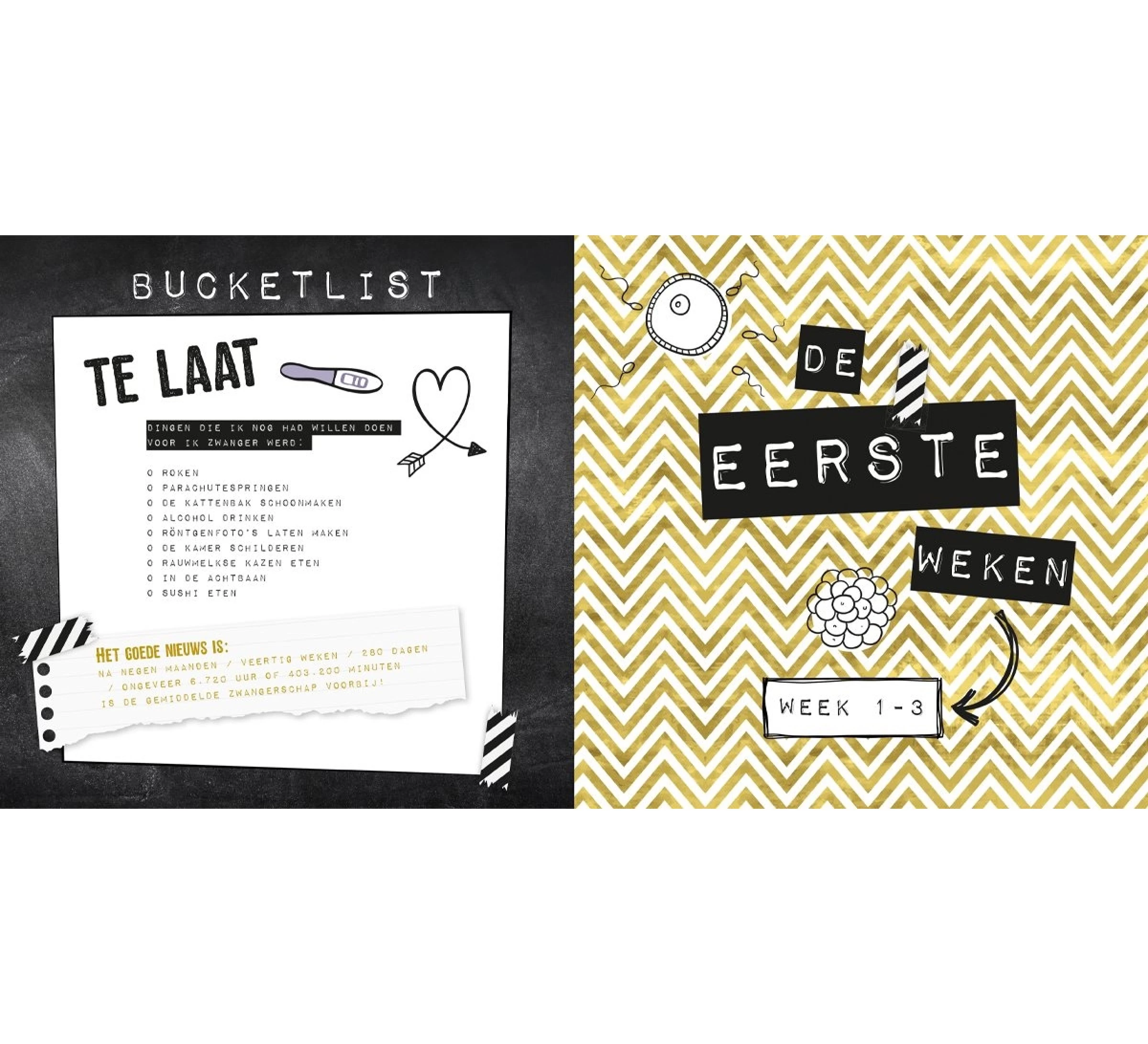 Negen Maandenboek 7 Negen Maandenboek - Afbeelding 5