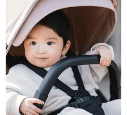 Thule Shine Kinderwagen - Roze -Baby Bonanza thule shine kinderwagen roze 2